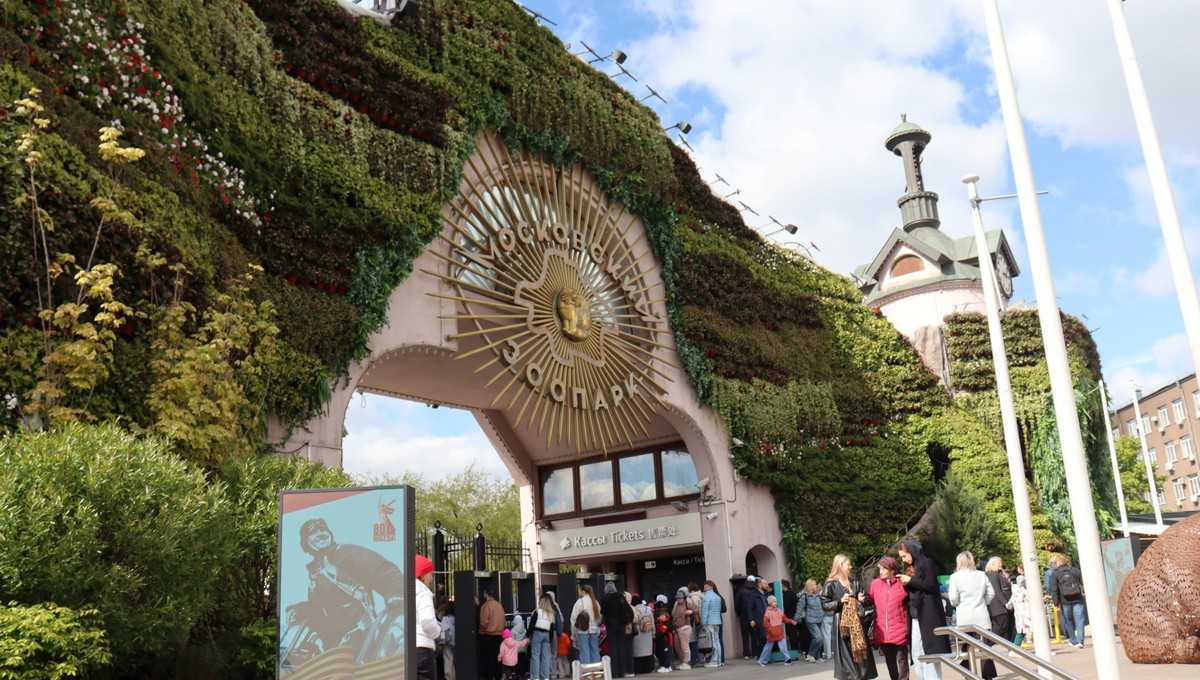 Малыш весом 1 грамм и неизвестного пола родился в Московском зоопарке