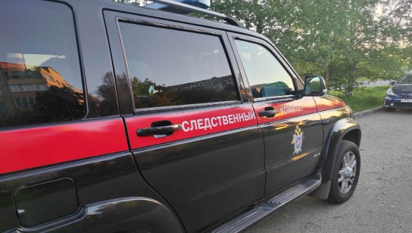 Женщина в Подмосковье убила родную мать
