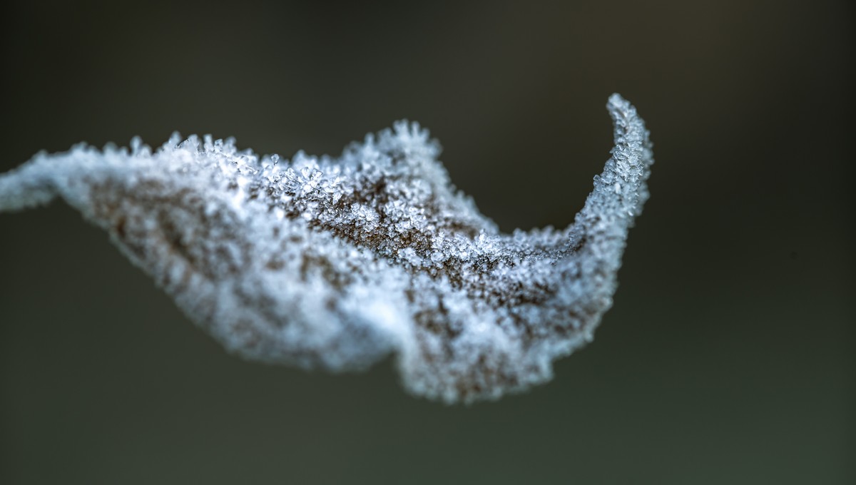 Зима затянется? Что сулит 20 ноября по погодным приметам