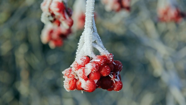 Москва и область окунутся в предзимние холода в этот день