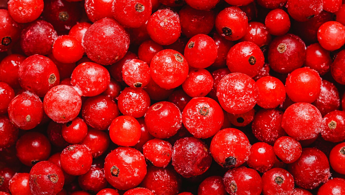 Панацея от всех болезней поспела в Подмосковье: куда отправиться собирать клюкву