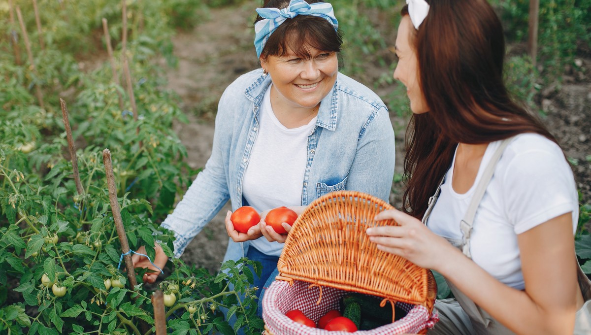 Штраф за кабачок: кого накажут рублём за продажу излишков овощей с огорода