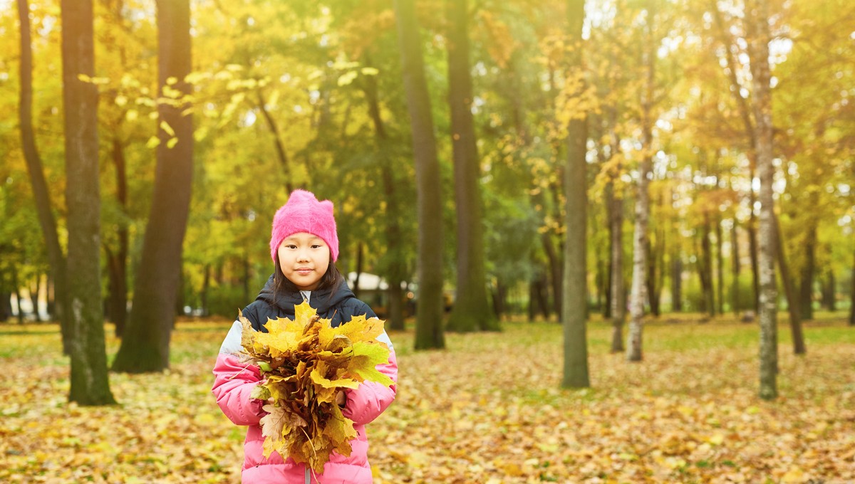 Синоптик пообещал нечто хорошее на 1 сентября в Подмосковье
