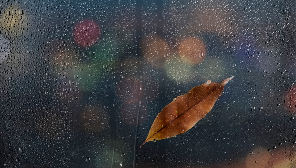 Погода «порадует» жителей Подмосковья в середине недели