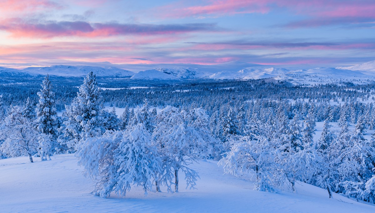 Две приметы погоды на 21 августа к тёплой зиме