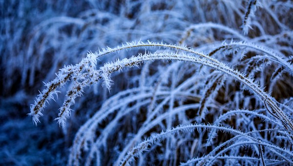 Минус на горизонте: Цыганков назвал дату первых морозов в Подмосковье