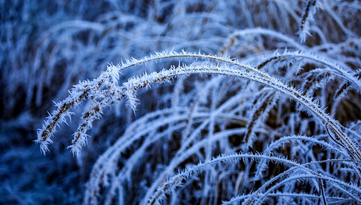 Минус на горизонте: Цыганков назвал дату первых морозов в Подмосковье