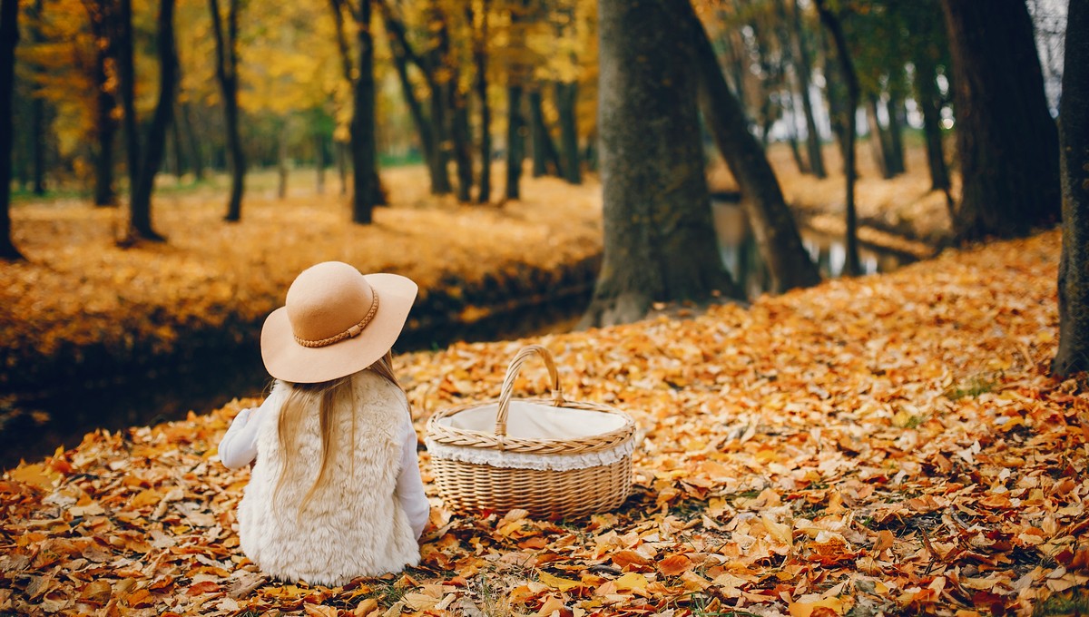 «Холода не ждём»: синоптик Вильфанд рассказал о погоде осенью