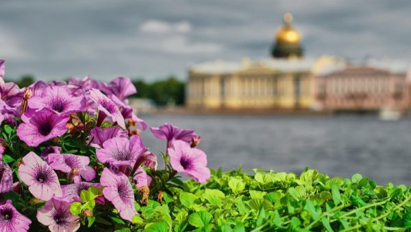 В Петербурге введут временные ограничения на продажу этого товара 