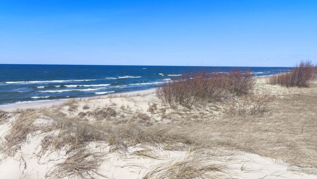 Названа дата открытия всех пляжей Анапы