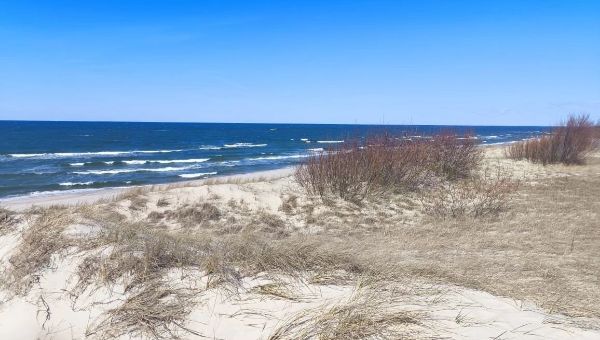 Положительное решение Роспотребнадзора по Анапе может изменить стоимость летнего отдыха