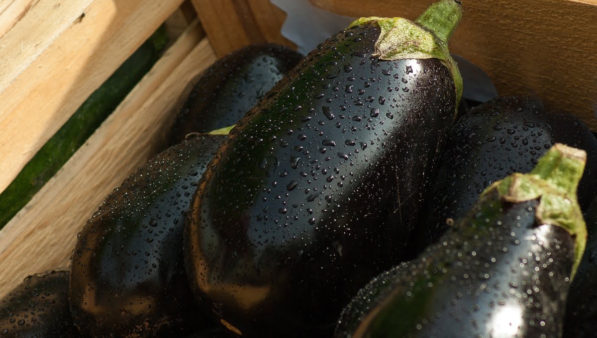 Секреты выбора баклажанов и патиссонов для идеальной икры