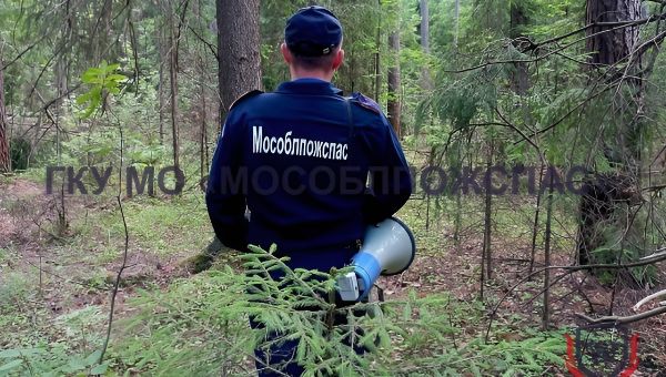 «Тихая охота» чуть не закончилась трагедией для жительницы Подмосковья