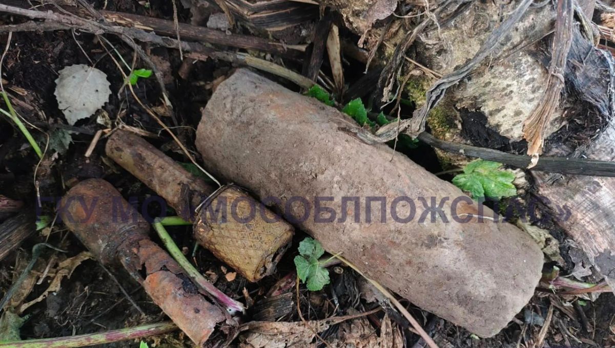Смертельный «привет» из прошлого наши в подмосковной деревне
