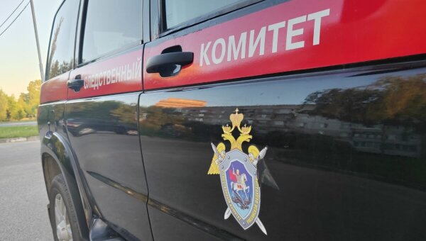 СК: количество пропавших детей в России значительно сократилось