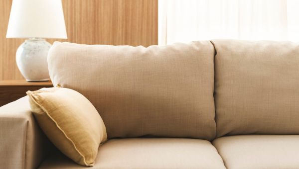 В Подмосковье бракованный диван принёс покупательнице баснословные деньги