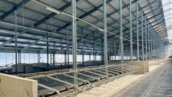 В Подмосковье открылся молочный гигант