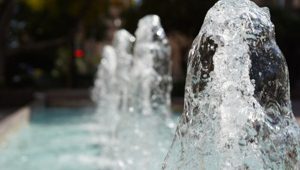 Самую крупную водную жемчужину Подмосковья усыпили до весны