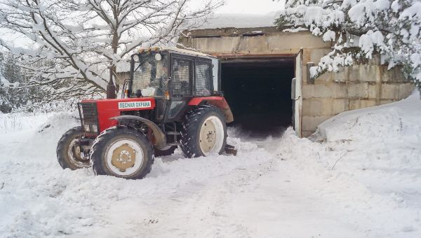 Зачем снежные запасы начали создавать в лесах под Серпуховом 