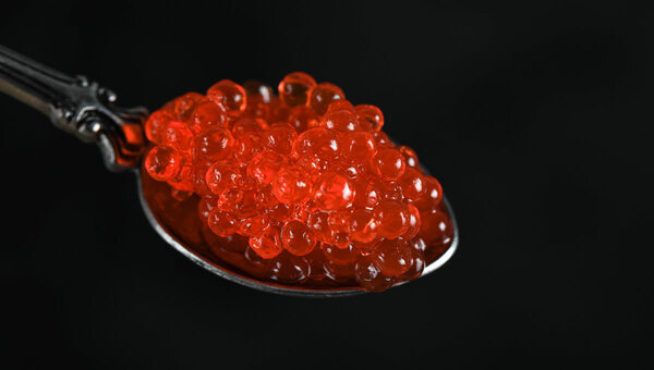 Гениально, просто, вкусно: зумеры придумали новогоднюю закуску с красной икрой