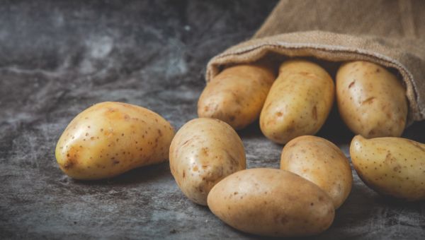 На первый вкусный фестиваль приглашает подмосковная картофельная столица