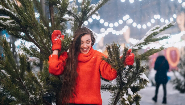 Клещи в ёлках: биологи дали однозначный ответ