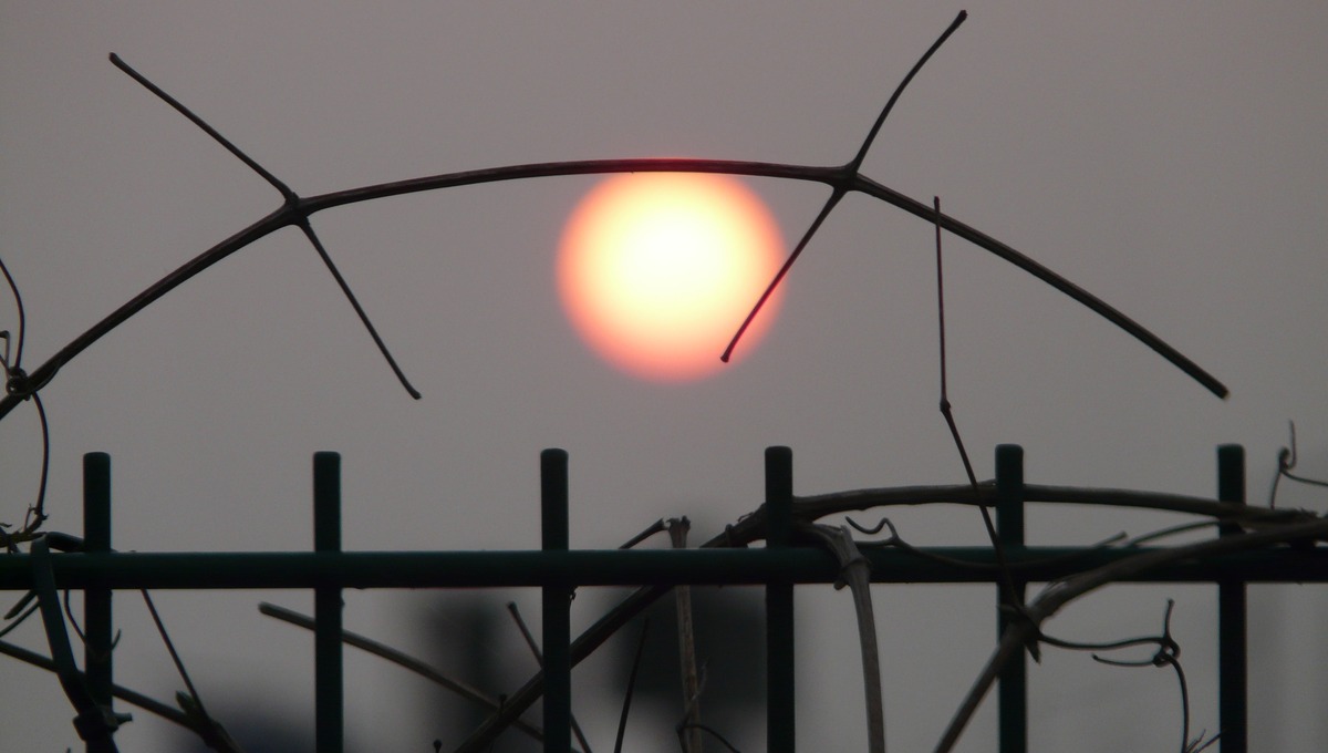 Стример из Канады с сомнительным прошлым летит в Калугу, чтобы спасти мир