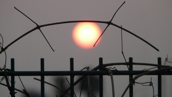 Стример из Канады с сомнительным прошлым летит в Калугу, чтобы спасти мир