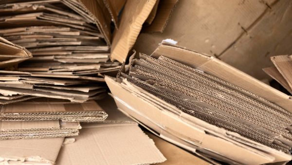 Подмосковье запускает акцию по сбору макулатуры