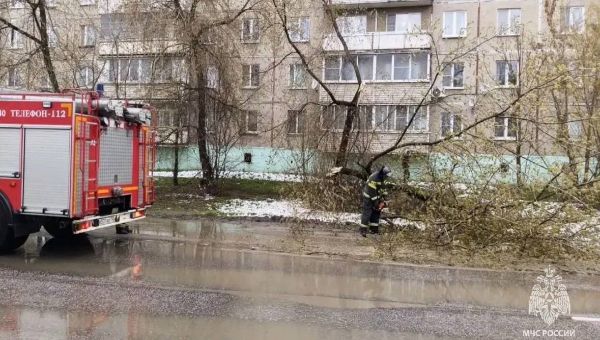 МЧС Подмосковья представило статистику непогоды