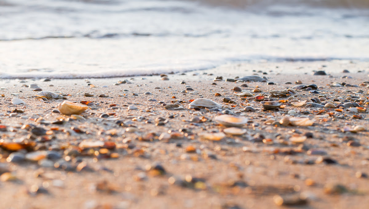 Россияне сказочно разбогатели, обнаружив сокровище на пляже Пхукета