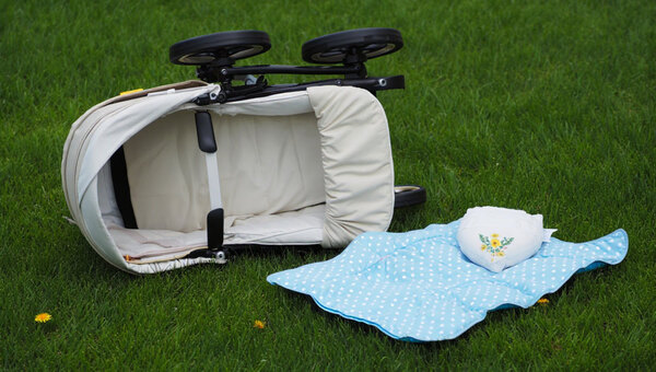 Младенец погиб от нападения собаки в Подмосковье