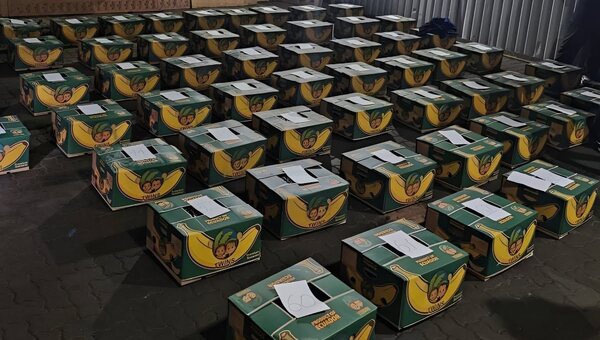 Контрабанда века: 1,5 тонны кокаина пытались ввезти в Россию