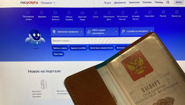 «Госуслуги» дадут доступ к автомобильной «красоте»