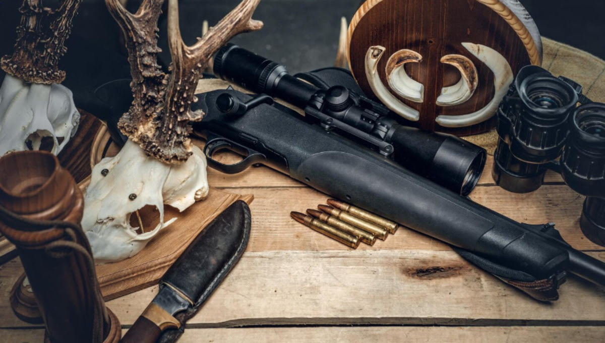 Сборы за охоту: кто заплатит больше с нового года