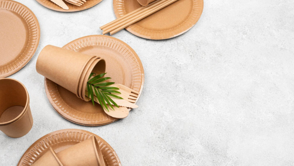 Учёные рассказали, что скрывает бамбуковая посуда