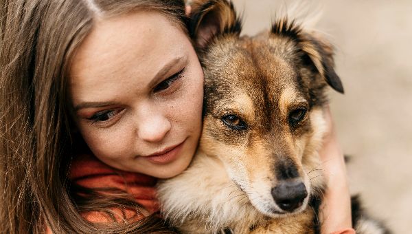 Московские приюты для животных опустели за новогодние праздники