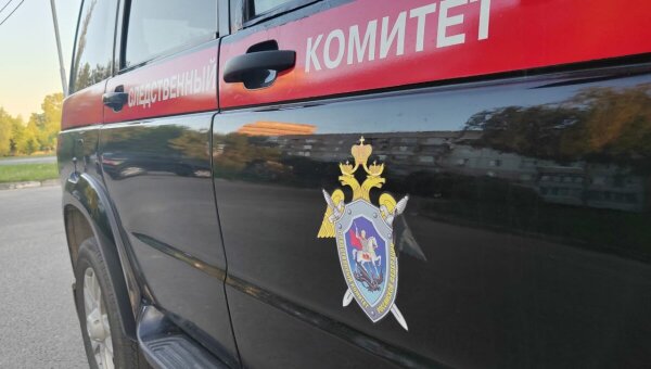 Нашлась девочка, которую девять лет считали погибшей в Санкт-Петербурге