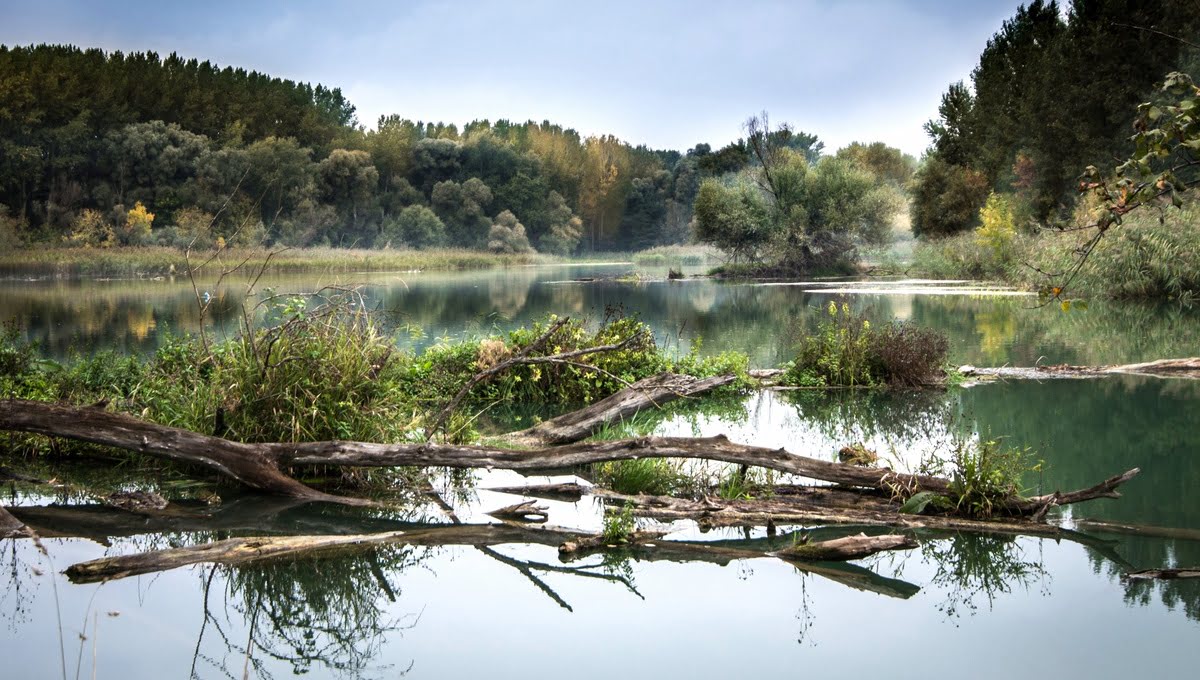 Жители определят будущее водоемов Подмосковья