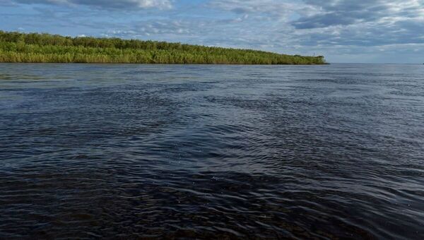 От Серпухова до Крыма фиксируется обмеление рек