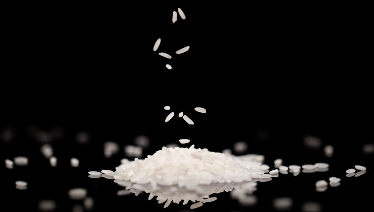 Российский мастер микроминиатюрист «оживил» рисовое зёрнышко