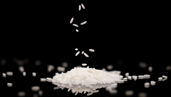 Российский мастер микроминиатюрист «оживил» рисовое зёрнышко