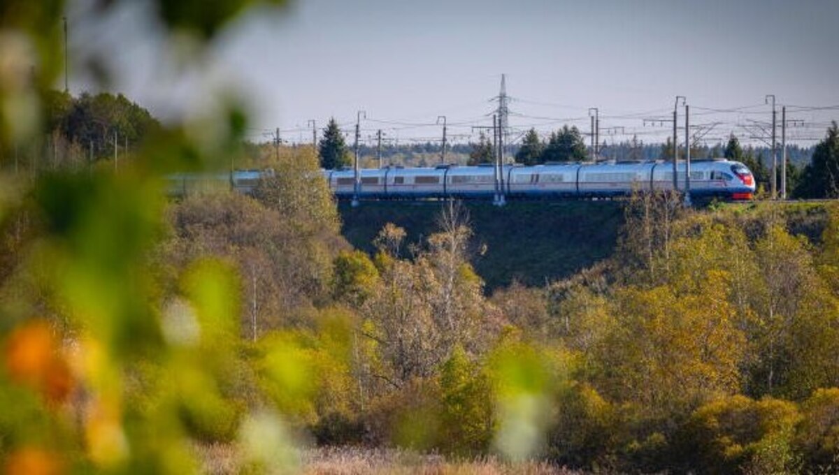 Жизнь одной из проводниц «Сапсана» изменила рядовая поездка