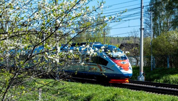 Ремонтные работы повлияют на расписание «Сапсанов» в октябре