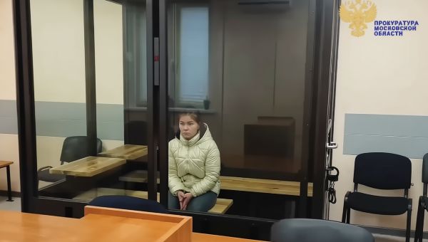 Завершено расследование резонансного дела об убийстве младенца в Серпухове