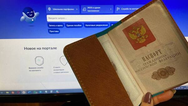 Новая отметка в паспорте станет доступом к государственным сервисам