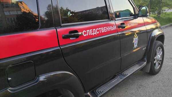 Делом о травмировании ребёнка-инвалида в Подмосковье заинтересовался глава СК