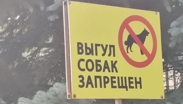 Более 200 нарушений правил содержания животных за квартал выявлено в Московской области