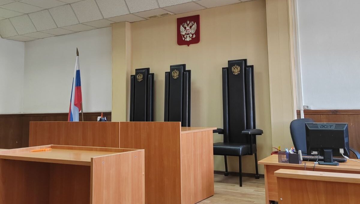 Серпуховский суд вынес приговор юной мошеннице из Новосибирска