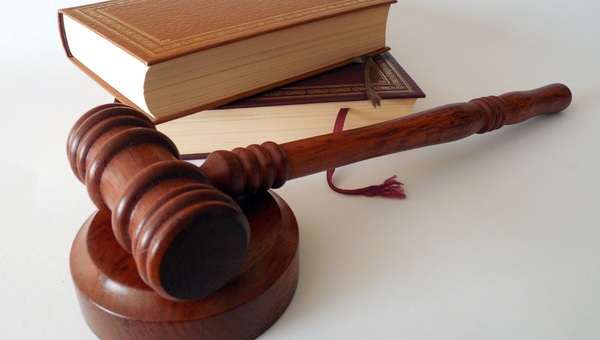 Суд поставил точку в резонансном выгуле собаки в столице